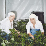 "Sisters in the Valley" nuns grow cannabis in this photography series