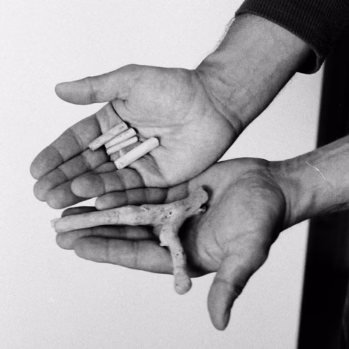 CONE reviews Book of Churches' self-titled album, released on Mar. 6, 2026.