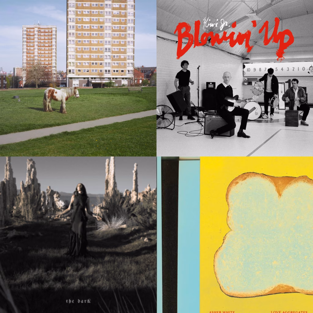 CONE tracks the best indie releases dropping in August 2026.