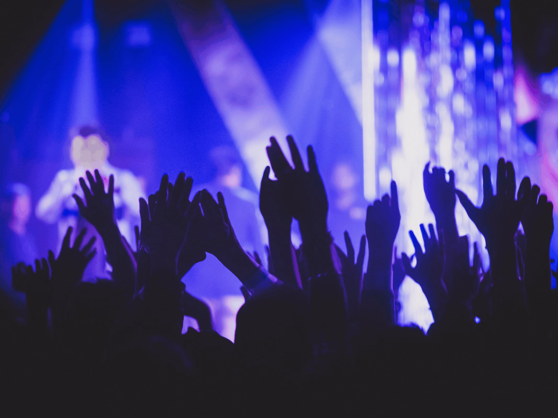 Concert crowd discovering new music genres