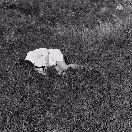 CONE review Nina Winder-Lind latest album Wild Love.